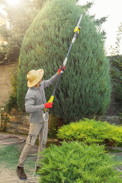 Lawn Pest Prevention in Winfield, IA